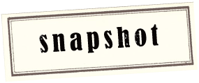 snapshot